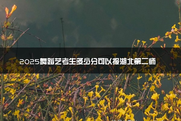 2025舞蹈艺考生多少分可以报湖北第二师范学院