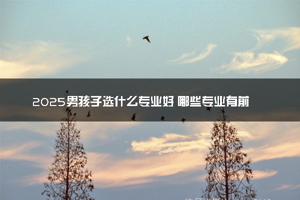 2025男孩子选什么专业好 哪些专业有前景