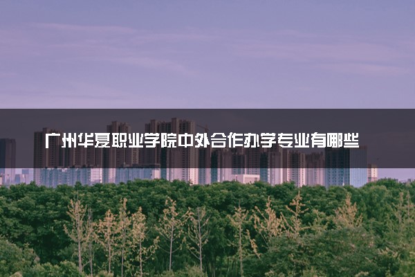 广州华夏职业学院中外合作办学专业有哪些 好就业吗