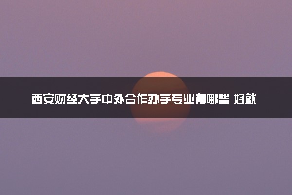 西安财经大学中外合作办学专业有哪些 好就业吗