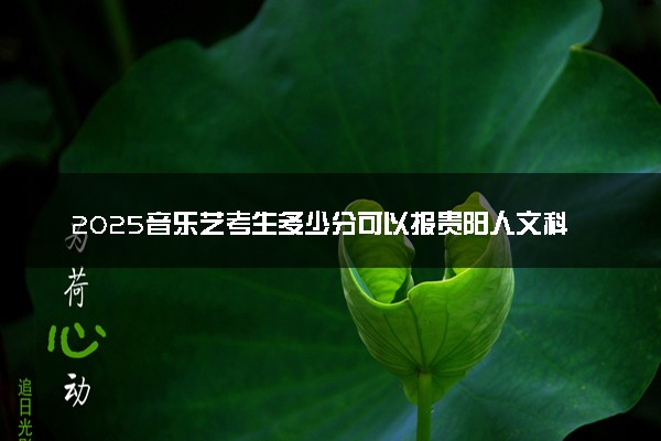 2025音乐艺考生多少分可以报贵阳人文科技学院
