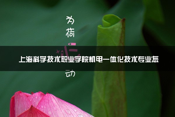 上海科学技术职业学院机电一体化技术专业怎么样 录取分数线多少