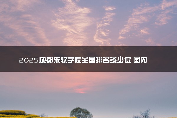 2025成都东软学院全国排名多少位 国内第几名