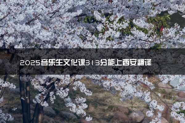 2025音乐生文化课313分能上西安翻译学院吗