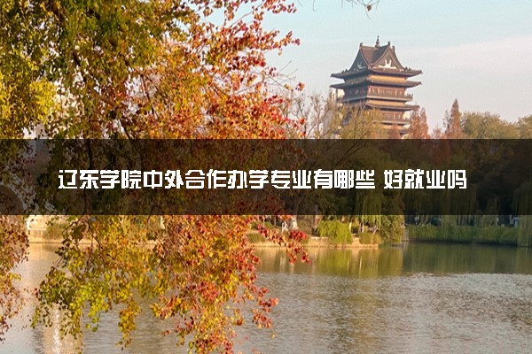辽东学院中外合作办学专业有哪些 好就业吗