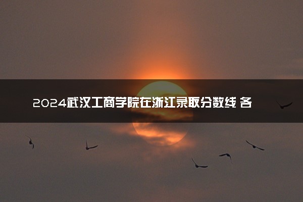 2024武汉工商学院在浙江录取分数线 各专业分数及位次