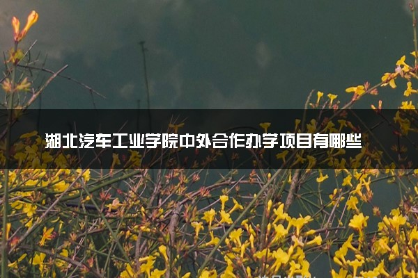湖北汽车工业学院中外合作办学项目有哪些 要出国吗
