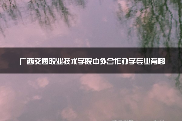 广西交通职业技术学院中外合作办学专业有哪些 好就业吗
