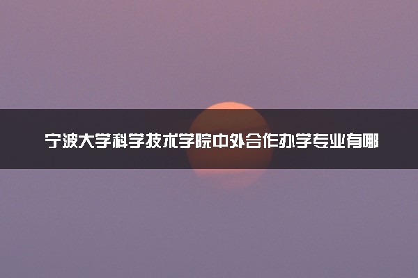 宁波大学科学技术学院中外合作办学专业有哪些 好就业吗