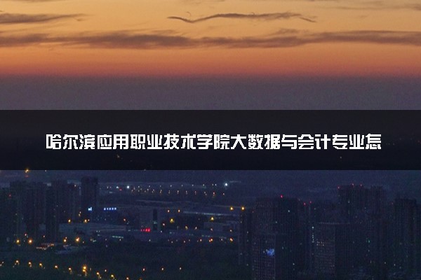 哈尔滨应用职业技术学院大数据与会计专业怎么样 录取分数线多少