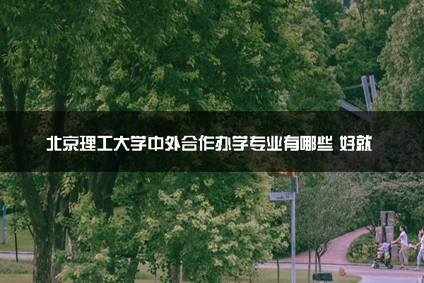 北京理工大学中外合作办学专业有哪些 好就业吗