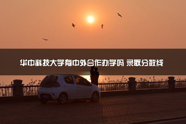 华中科技大学有中外合作办学吗 录取分数线是多少