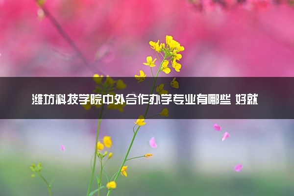 潍坊科技学院中外合作办学专业有哪些 好就业吗