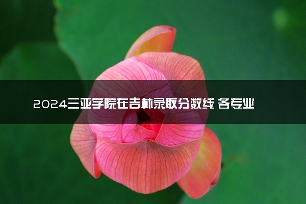 2024三亚学院在吉林录取分数线 各专业分数及位次