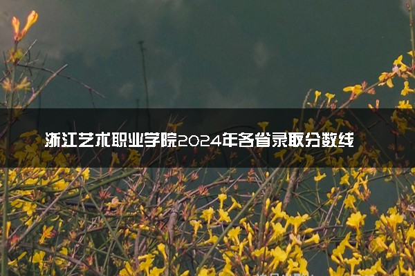 浙江艺术职业学院2024年各省录取分数线 多少分能考上