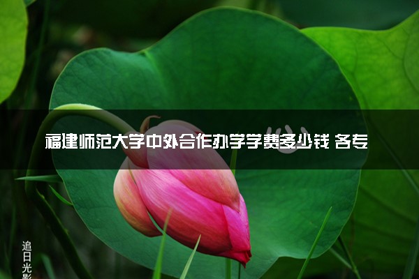 福建师范大学中外合作办学学费多少钱 各专业收费标准