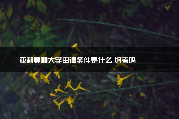 亚利桑那大学申请条件是什么 好考吗