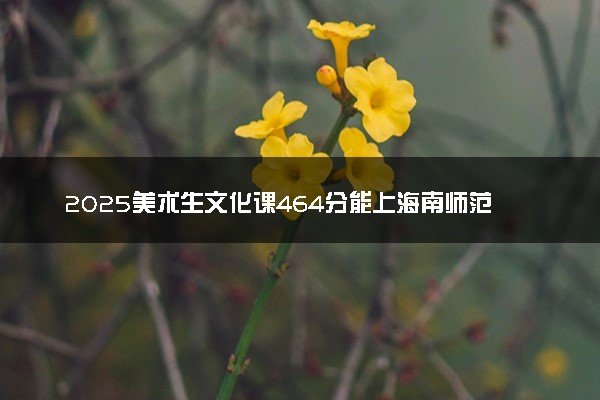2025美术生文化课464分能上海南师范大学吗