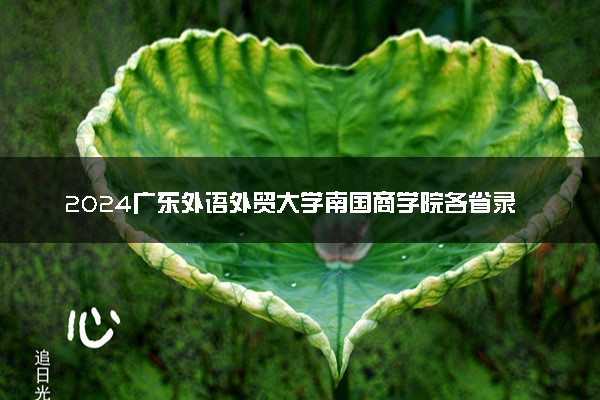 2024广东外语外贸大学南国商学院各省录取分数线是多少 最低分及位次