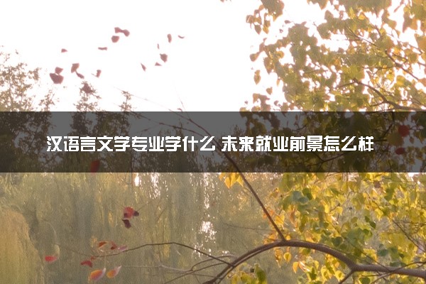 汉语言文学专业学什么 未来就业前景怎么样