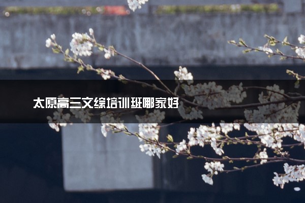 太原高三文综培训班哪家好
