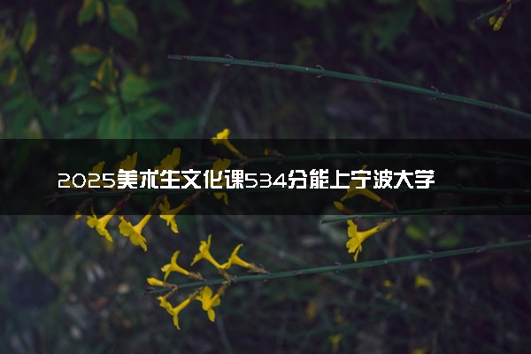 2025美术生文化课534分能上宁波大学吗