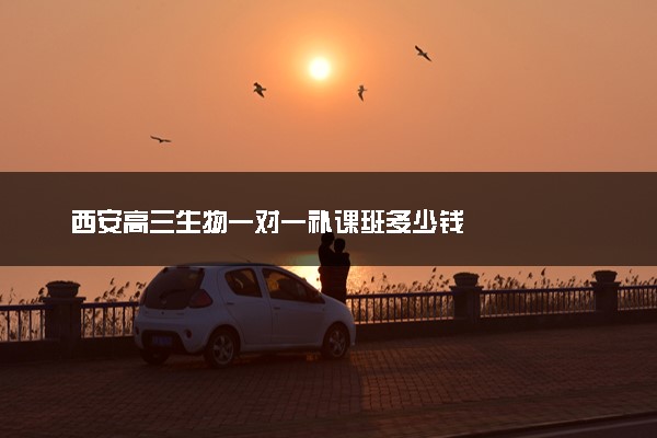 西安高三生物一对一补课班多少钱