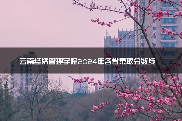 云南经济管理学院2024年各省录取分数线 多少分能考上