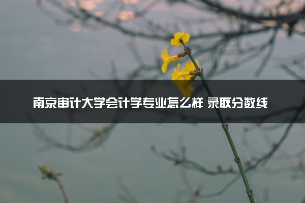 南京审计大学会计学专业怎么样 录取分数线多少