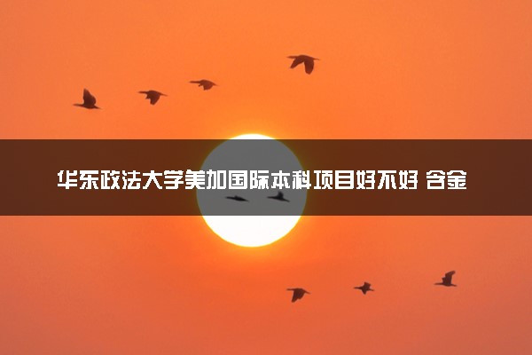 华东政法大学美加国际本科项目好不好 含金量如何