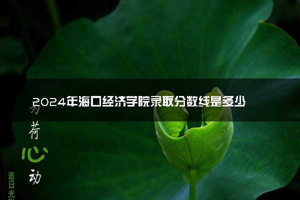 2024年海口经济学院录取分数线是多少 各省最低分数线及位次