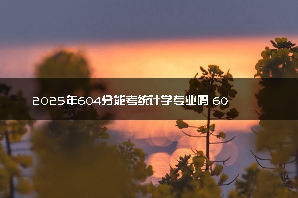 2025年604分能考统计学专业吗 604分统计学专业大学推荐