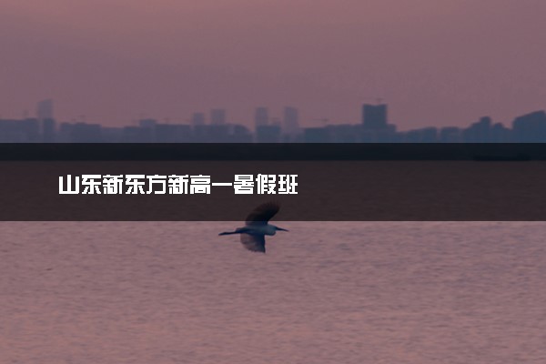 山东新东方新高一暑假班