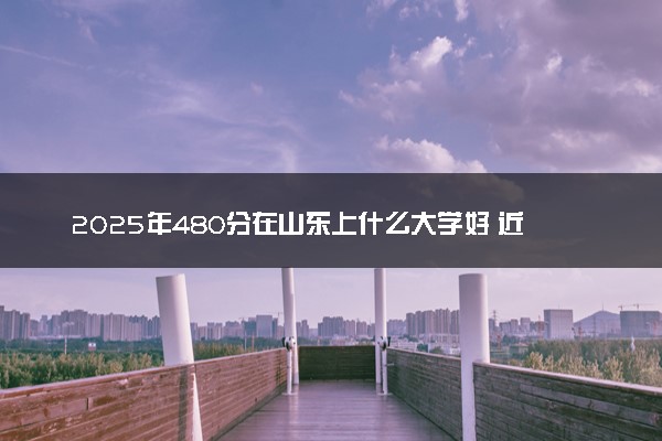 2025年480分在山东上什么大学好 近三年录取分数线是多少