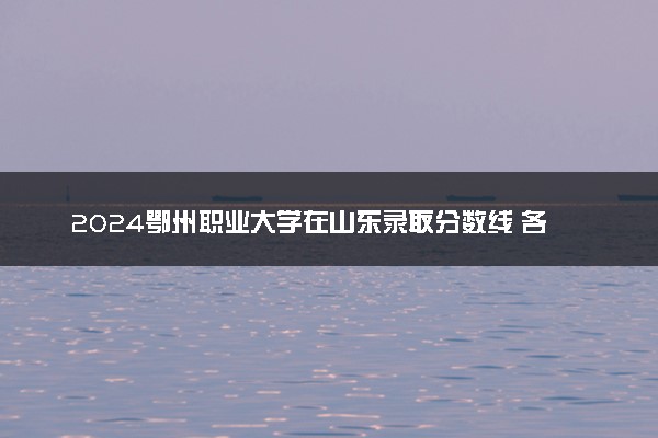 2024鄂州职业大学在山东录取分数线 各专业分数及位次