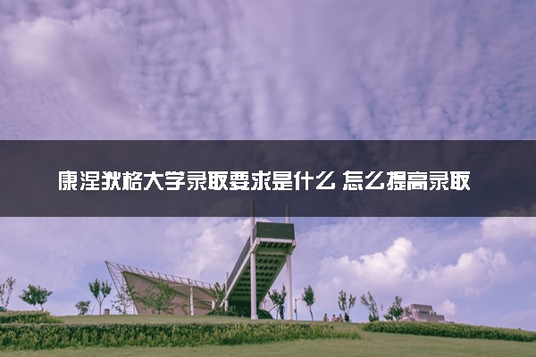 康涅狄格大学录取要求是什么 怎么提高录取率