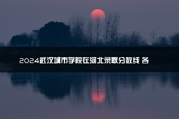 2024武汉城市学院在河北录取分数线 各专业分数及位次