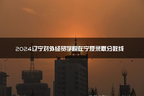 2024辽宁对外经贸学院在宁夏录取分数线 各专业分数及位次