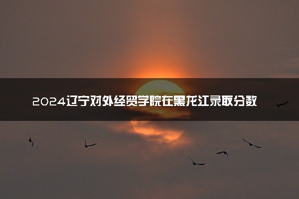 2024辽宁对外经贸学院在黑龙江录取分数线 各专业分数及位次