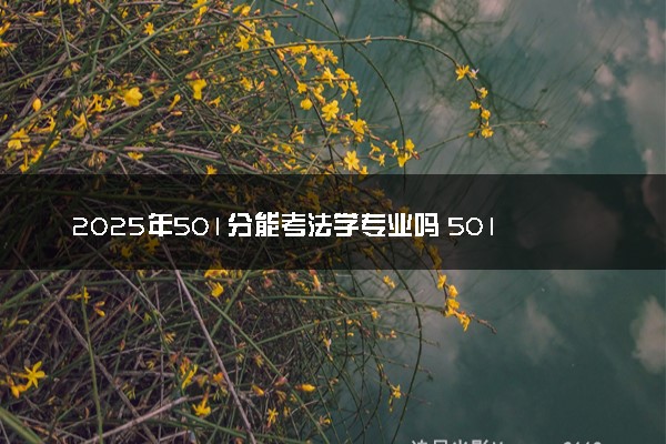 2025年501分能考法学专业吗 501分法学专业大学推荐