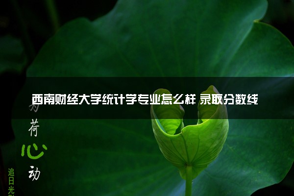 西南财经大学统计学专业怎么样 录取分数线多少