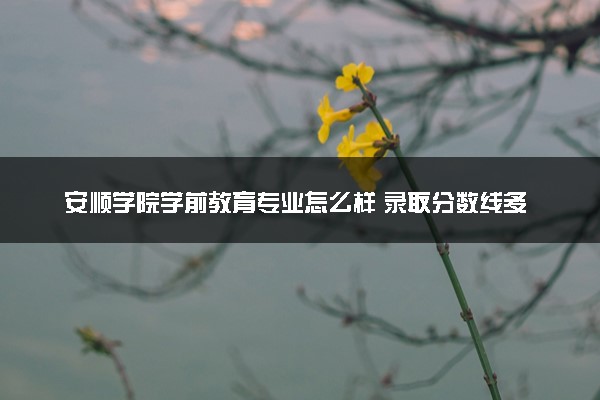 安顺学院学前教育专业怎么样 录取分数线多少