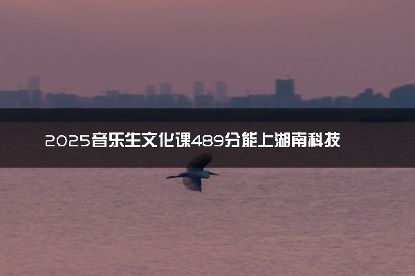 2025音乐生文化课489分能上湖南科技大学吗