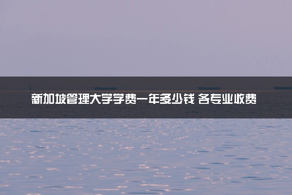 新加坡管理大学学费一年多少钱 各专业收费标准