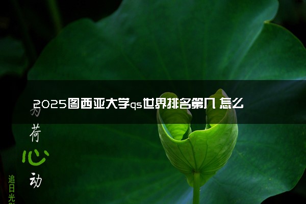 2025图西亚大学qs世界排名第几 怎么考进去