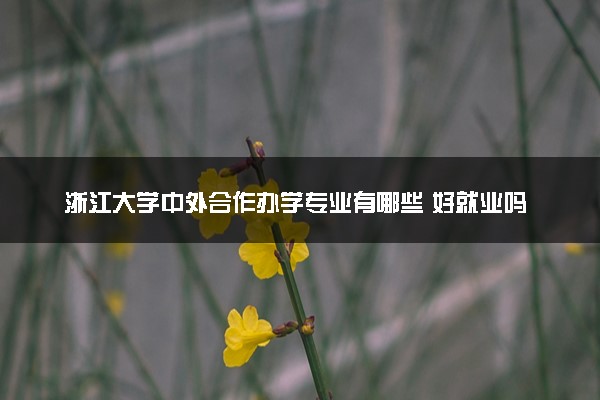 浙江大学中外合作办学专业有哪些 好就业吗