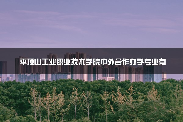 平顶山工业职业技术学院中外合作办学专业有哪些 好就业吗