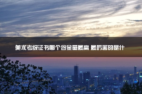 美术考级证书哪个含金量最高 最厉害的是什么