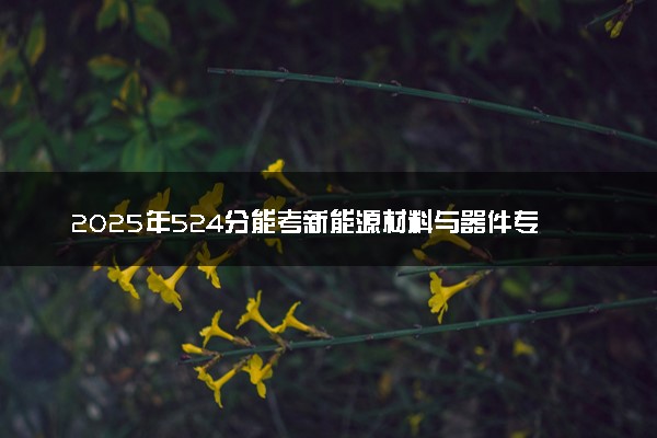 2025年524分能考新能源材料与器件专业吗 524分新能源材料与器件专业大学推荐