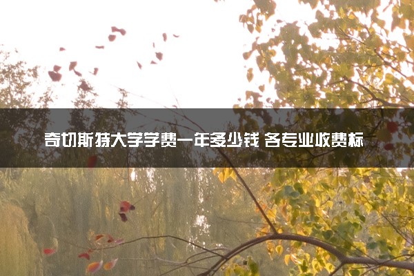 奇切斯特大学学费一年多少钱 各专业收费标准
